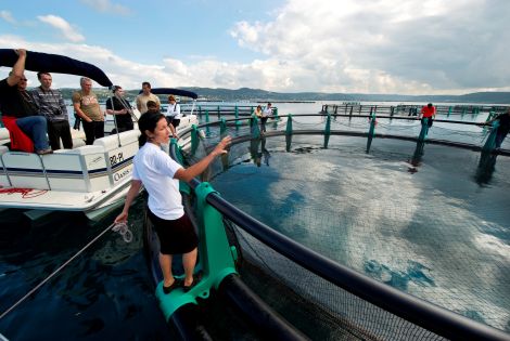 An unforgettable day at the Fond Fish Farm
